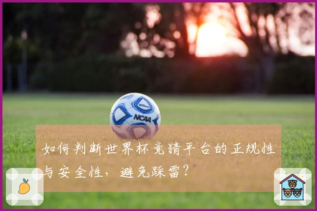 如何判断世界杯竞猜平台的正规性与安全性，避免踩雷？