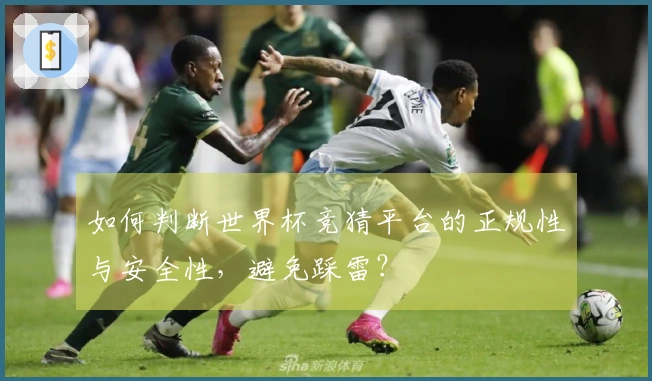 如何判断世界杯竞猜平台的正规性与安全性，避免踩雷？