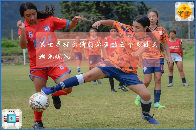买世界杯竞猜前必查的五个关键点避免踩坑