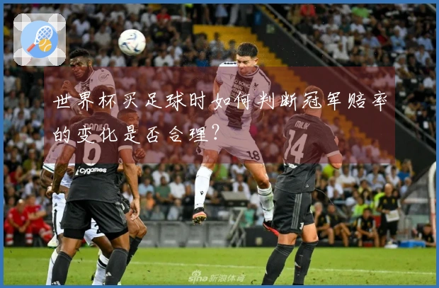 世界杯买足球时如何判断冠军赔率的变化是否合理？