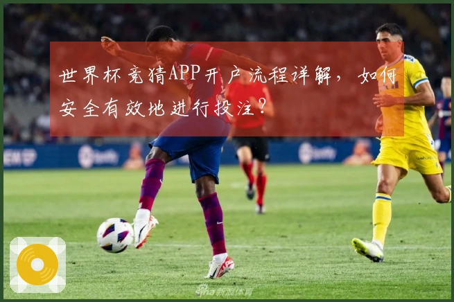世界杯竞猜APP开户流程详解,如何安全有效地进行投注?