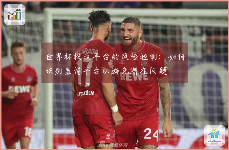 世界杯投注平台的风险控制：如何识别靠谱平台以避免潜在问题